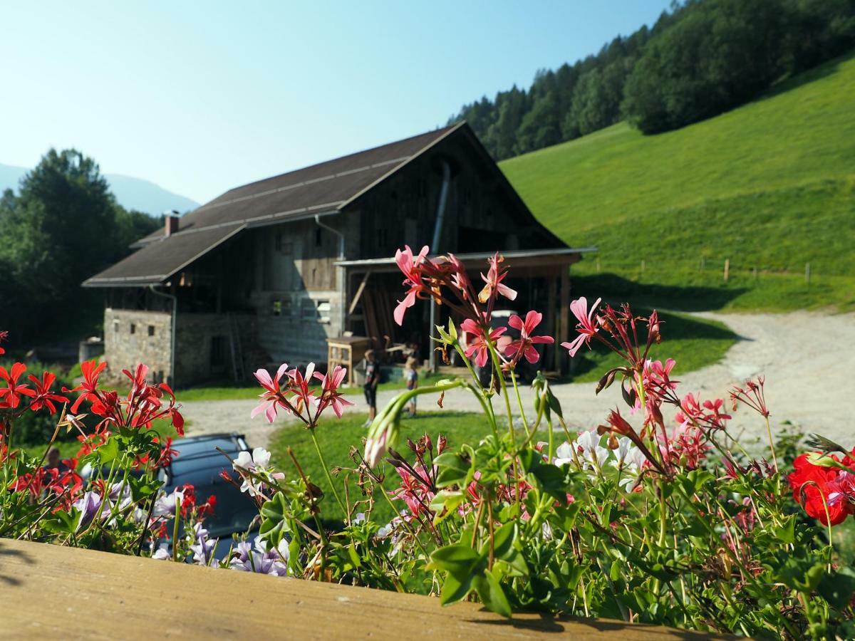 Laxhube Villa Gmund in Karnten Exterior photo